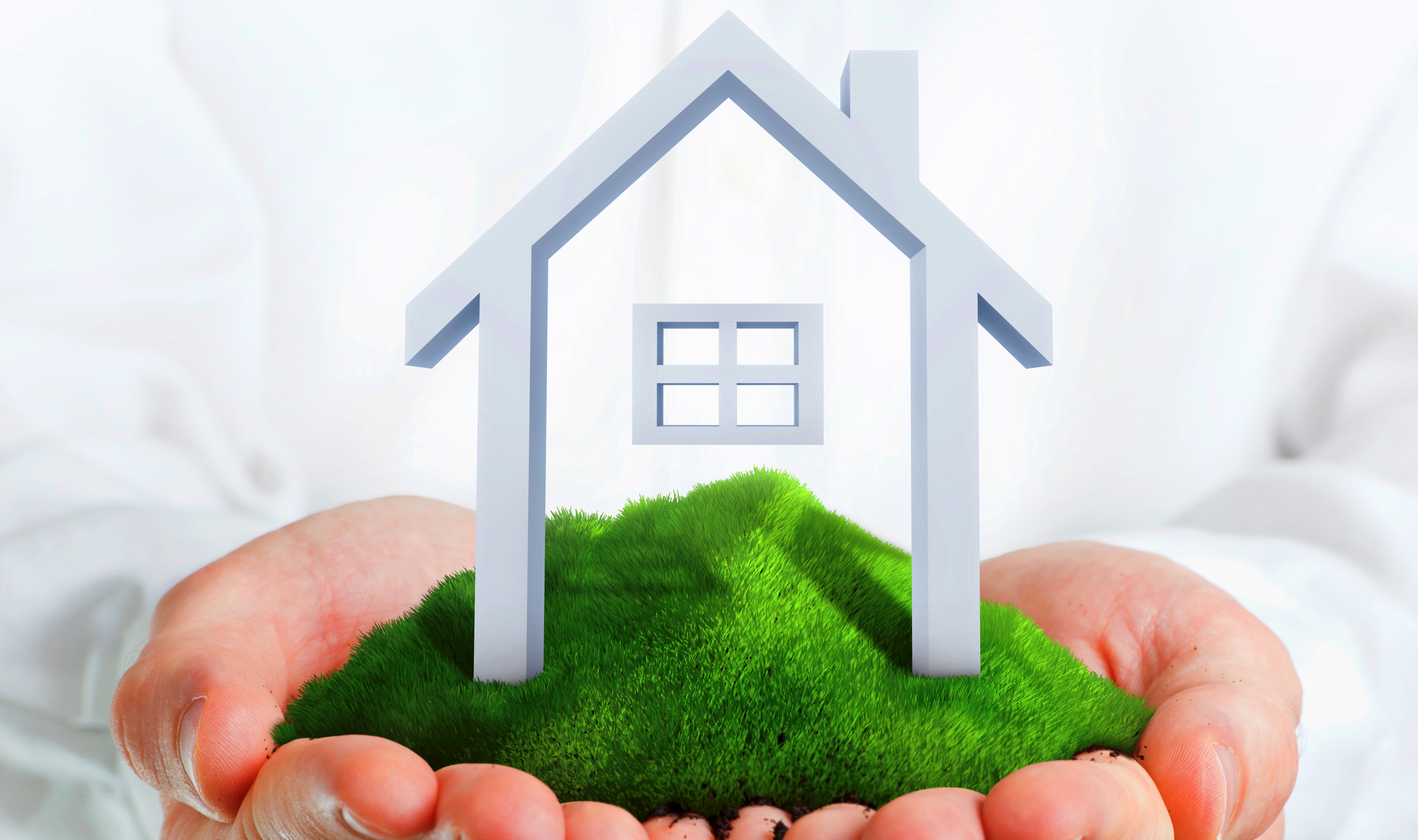 Male hands holding a green hill with small house