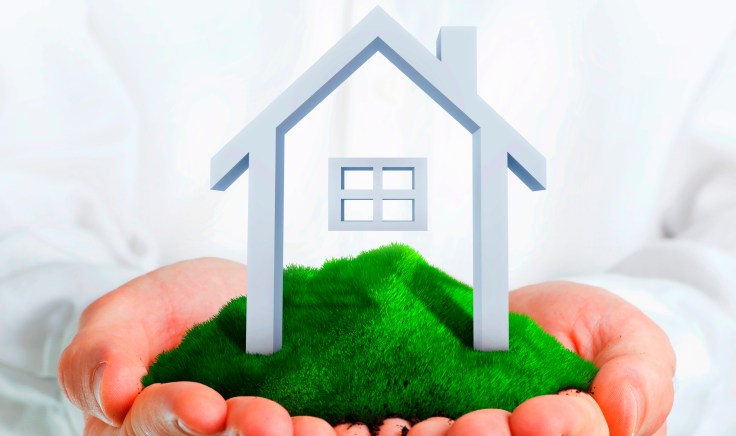 Male hands holding a green hill with small house