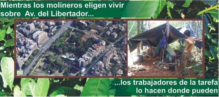 yerba vivir donde se pueda