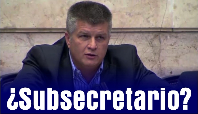 ziegler subsecretario web