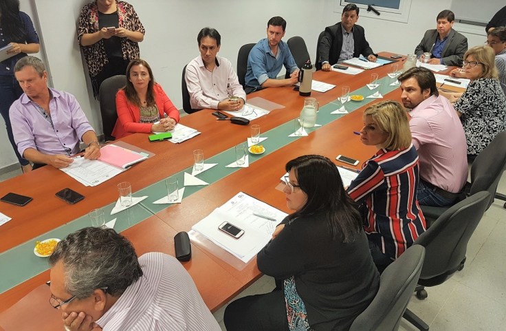 comision de salud lazos que atan a la vida (1)