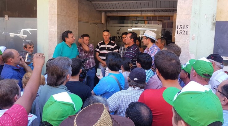 yerba febrero 2019 (2)