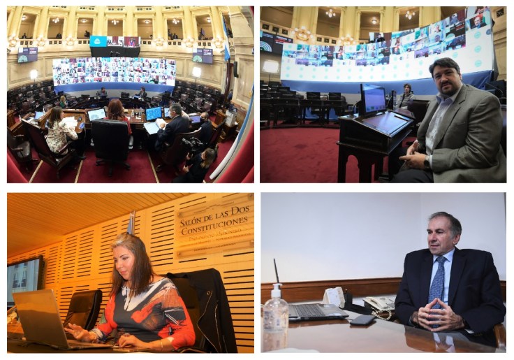 senado virtual 13mayo