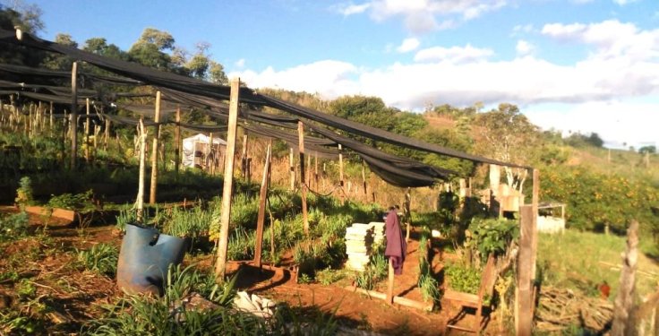 Familias de Colonia Nueva Esperanza de San Pedro 2