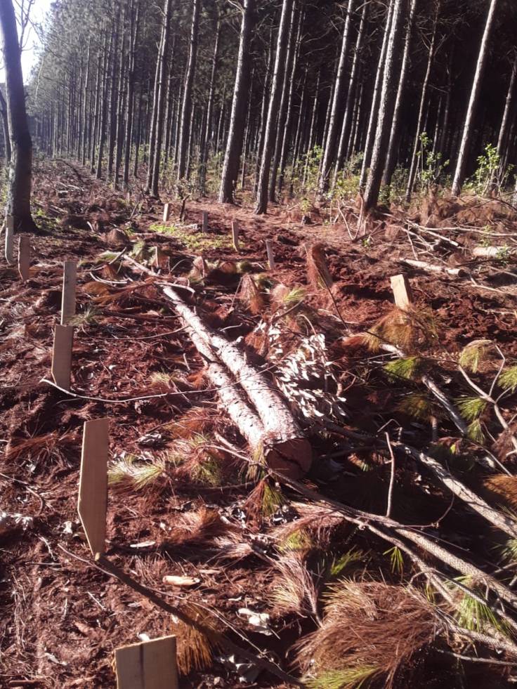 WhatsApp Image 2020-08-06 at 10.05.04